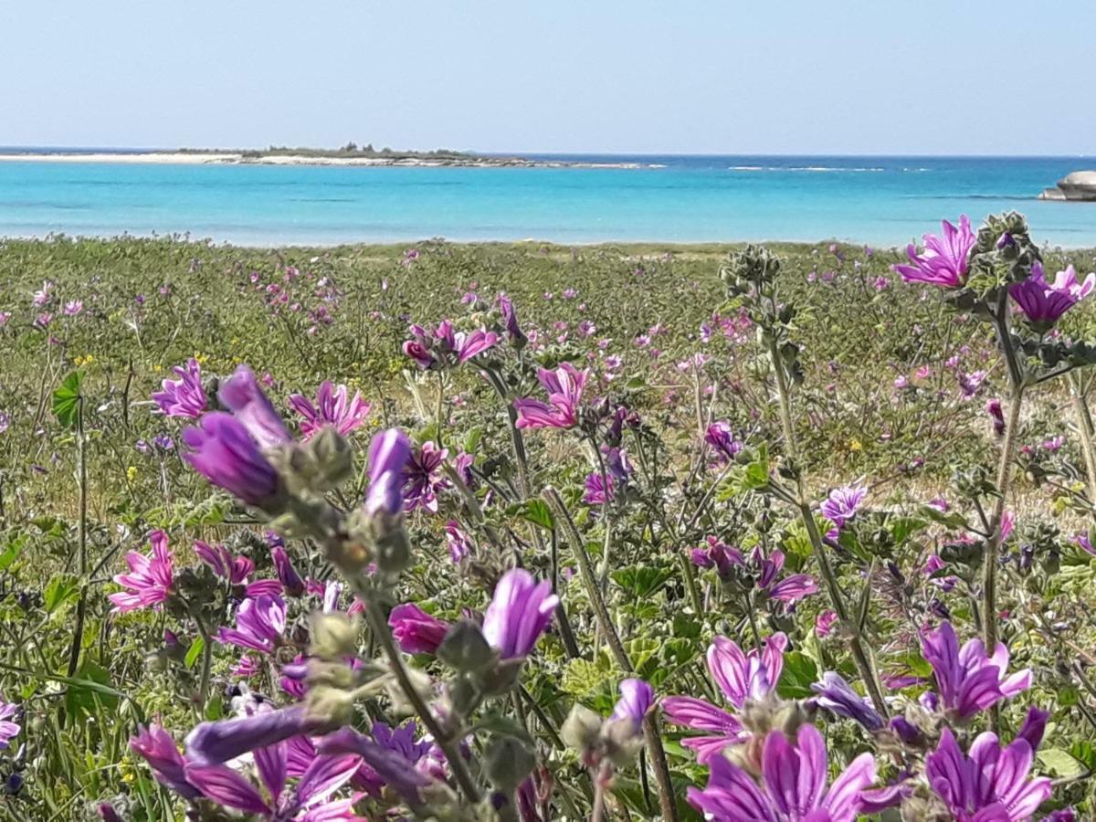 Stella Marina Βίλα Sant Isidoro  Εξωτερικό φωτογραφία